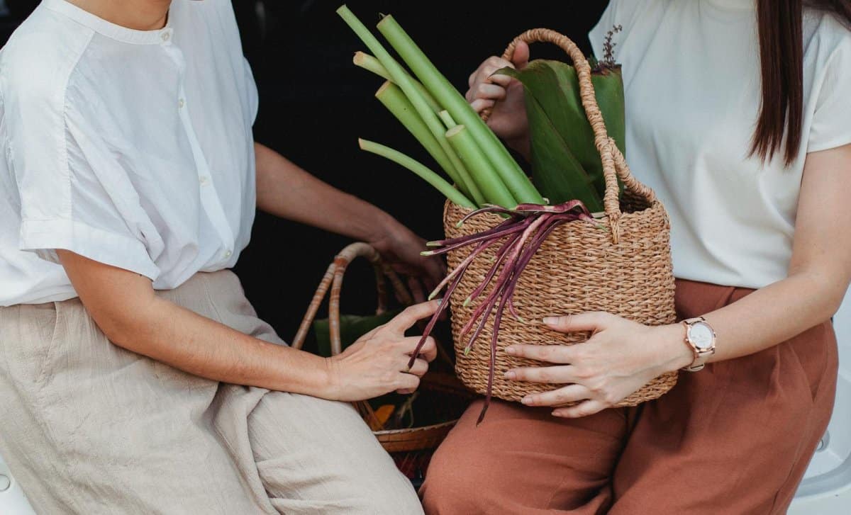 6. Sustainability and Eco-Friendly Menus Inspired by Influencers