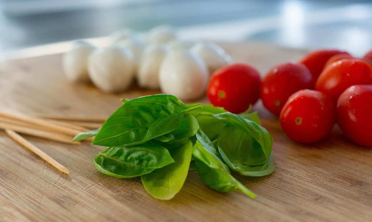 Download free HD stock image of Antipasta Caprese Free Antipasta Caprese photo and picture