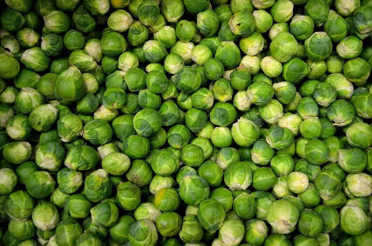 8. Brussels Sprouts