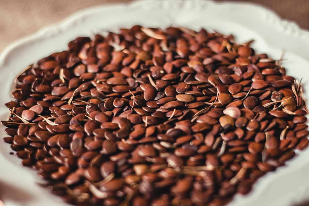 13. Flaxseeds