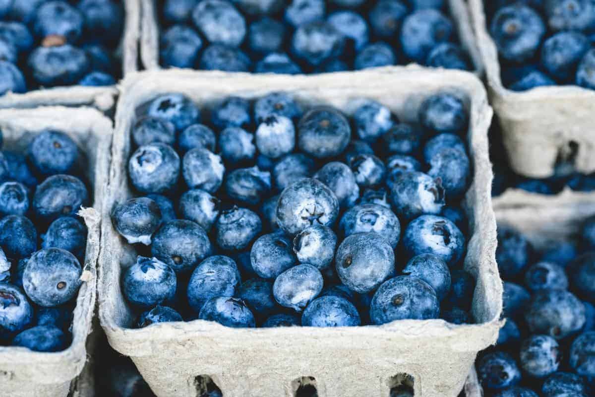 1. Blueberries
