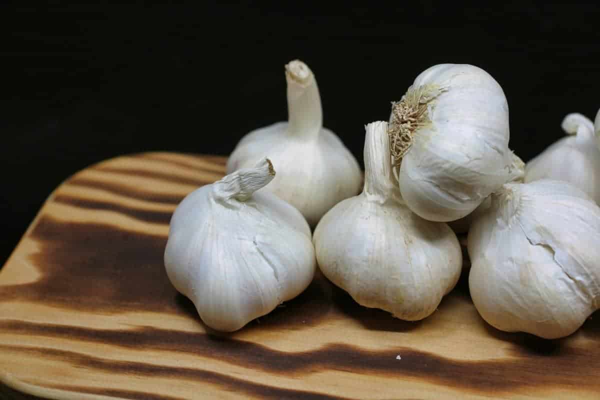 11. Garlic