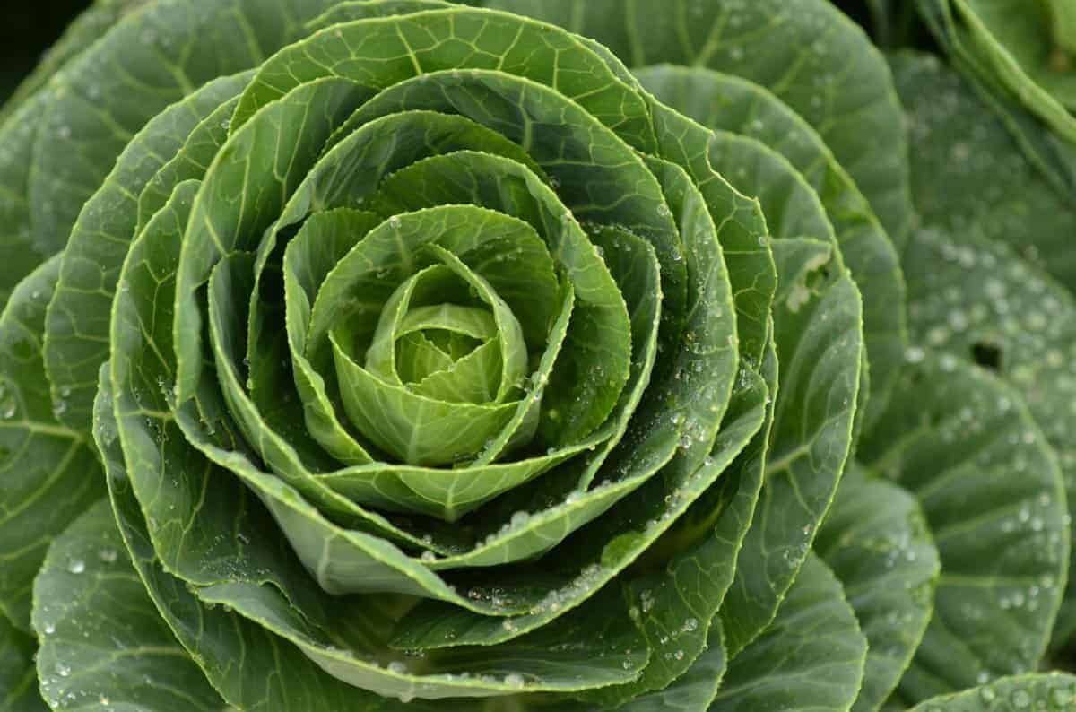 Moisture Redistribution Improves Consistency