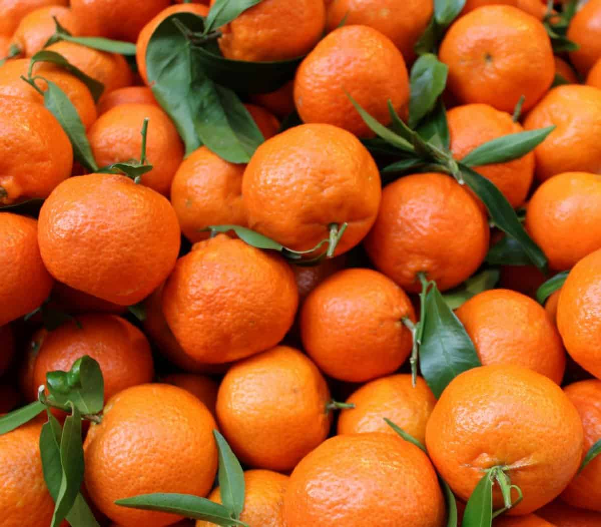 12. Oranges