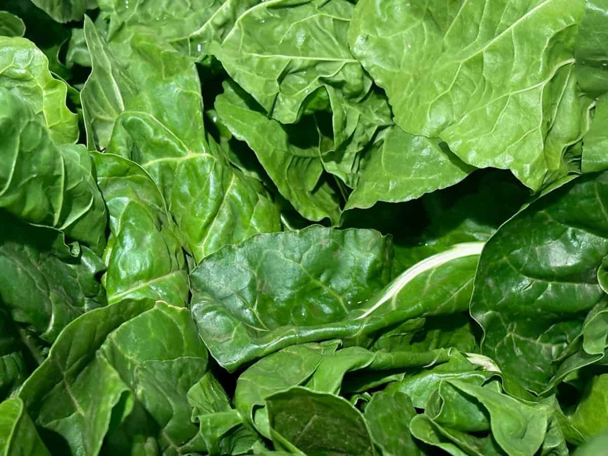 5. Collard Greens