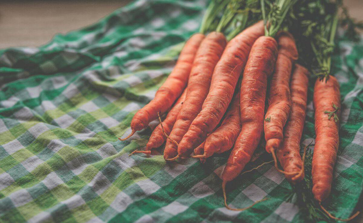 14. Canned Carrots