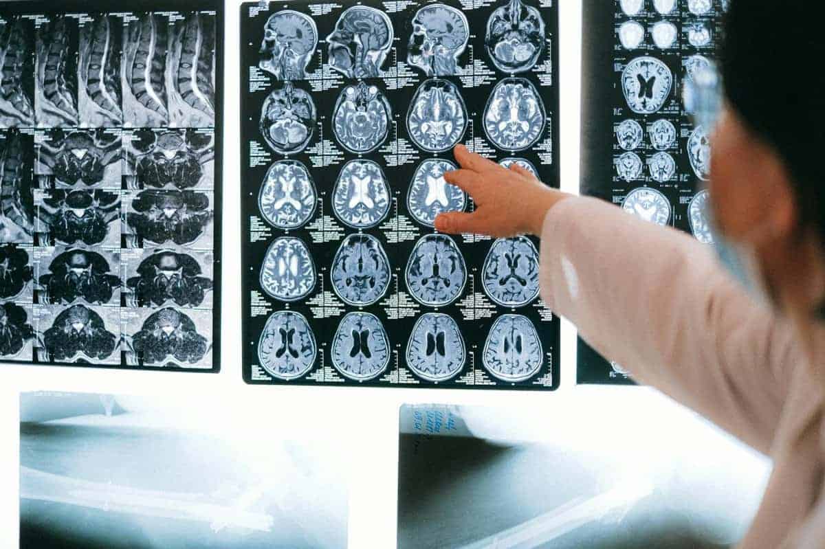 2. Scientific Studies Supporting its Existence