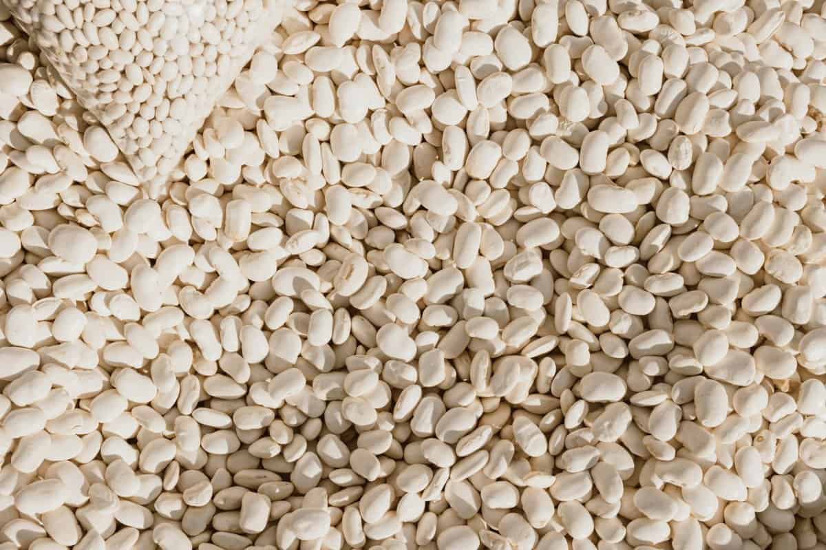 14. White Beans