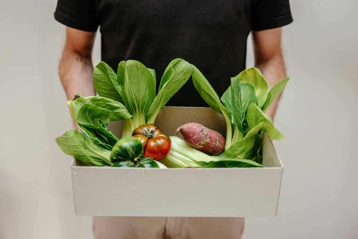 Choosing Quality Ingredients