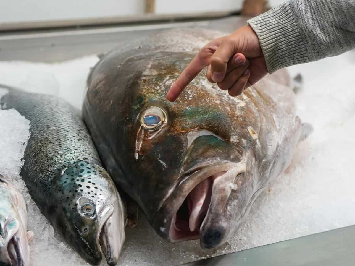 4. Expansion into Seafood Alternatives