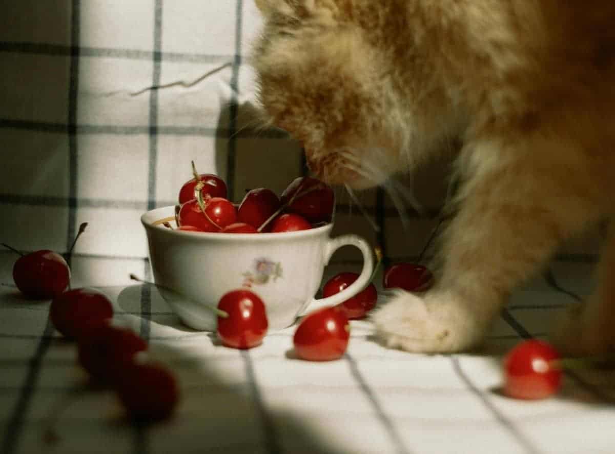 9. Cherries