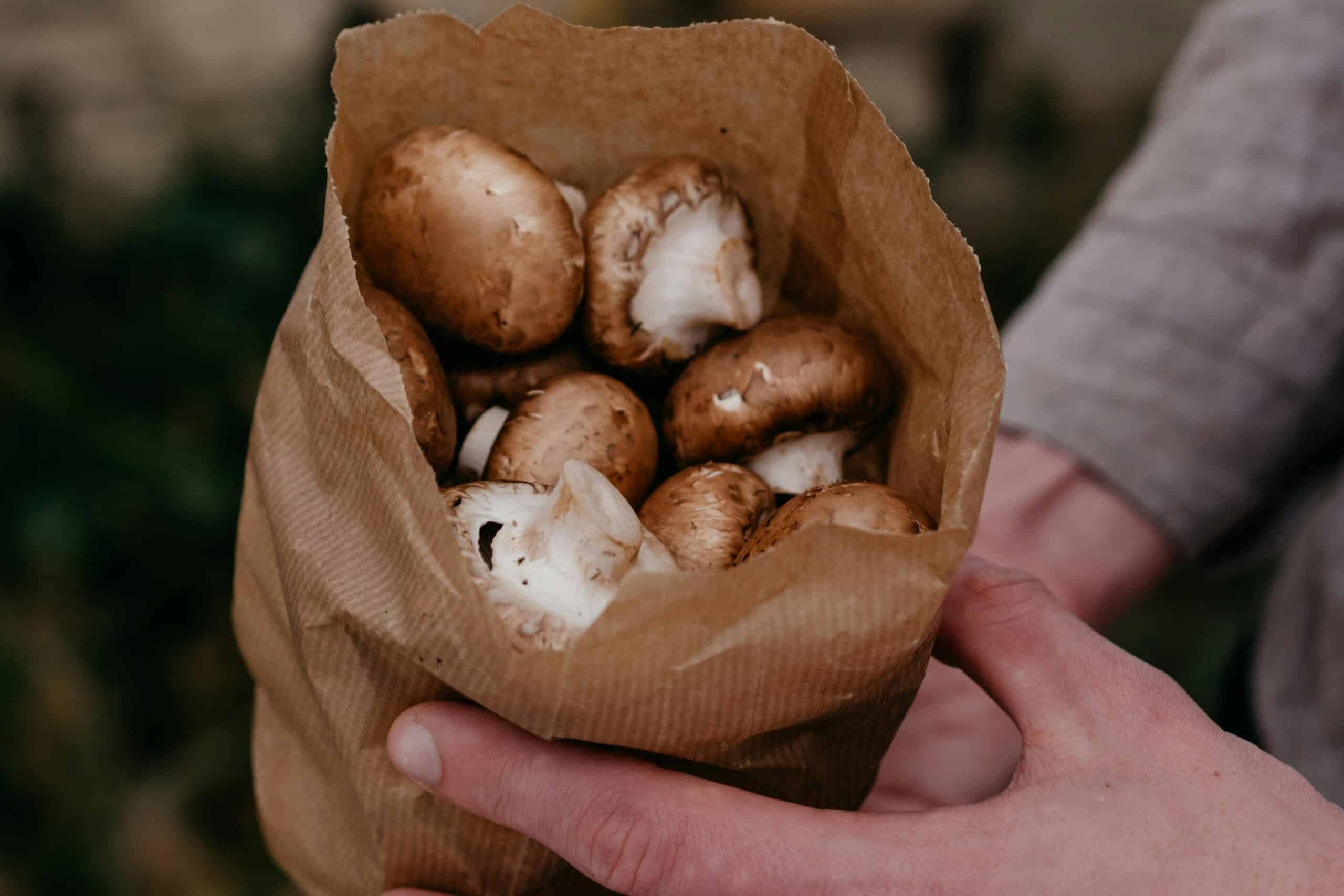 6. Store Mushrooms in Paper Bags