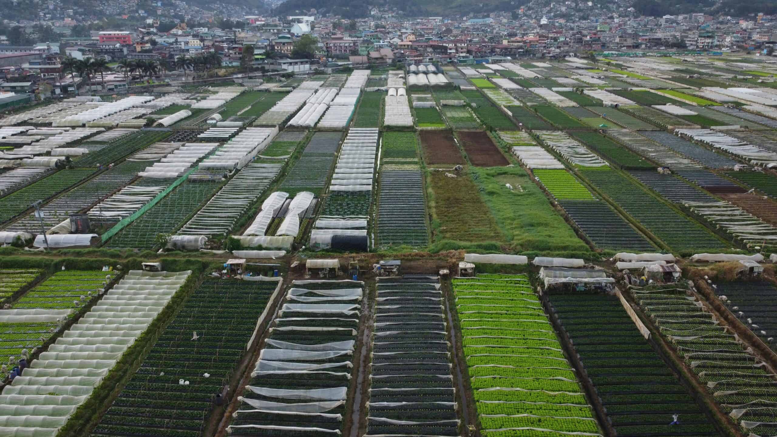 1. Lowering Greenhouse Gas Emissions
