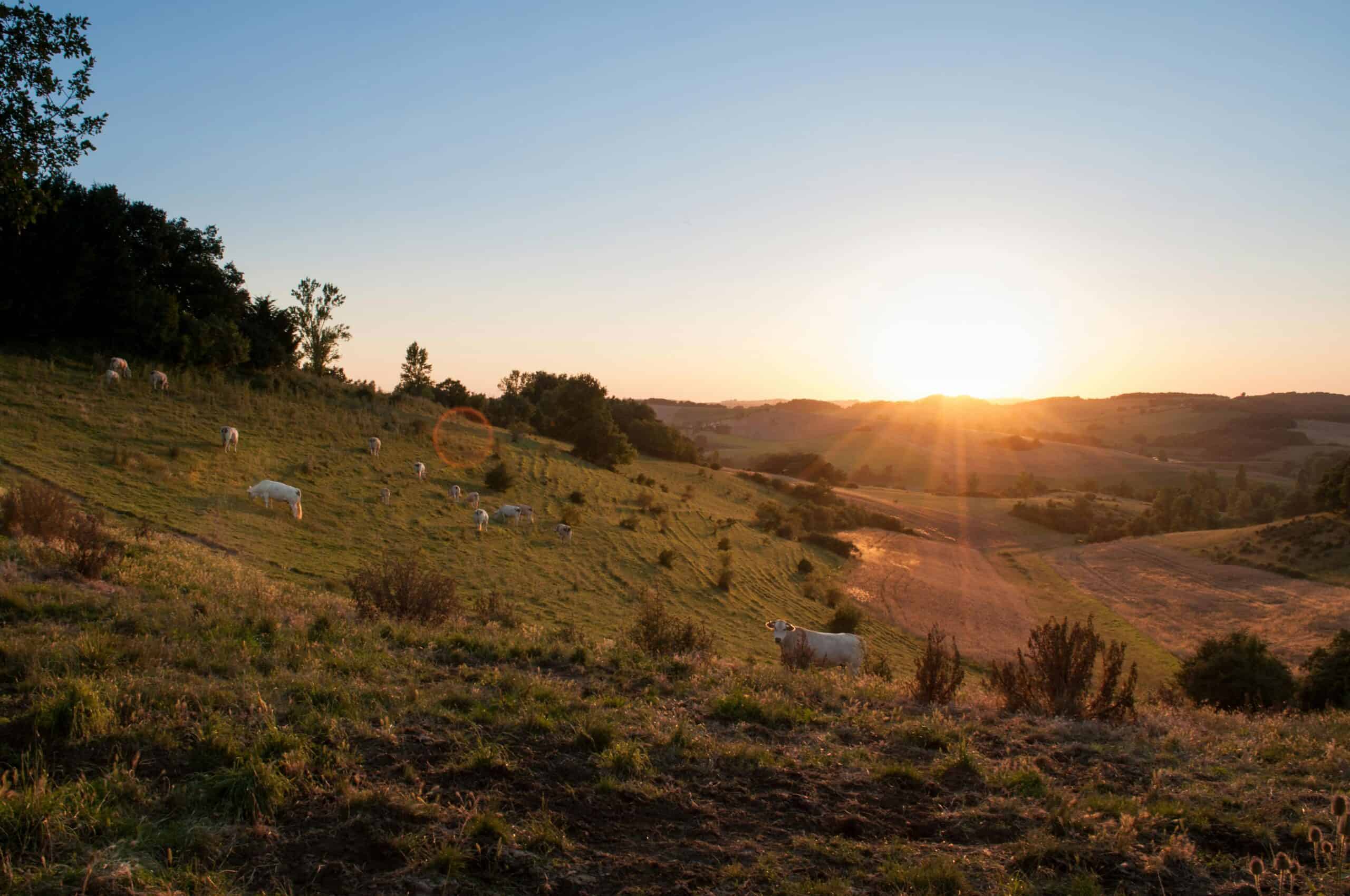 5. Easing the Pressure on Land Use