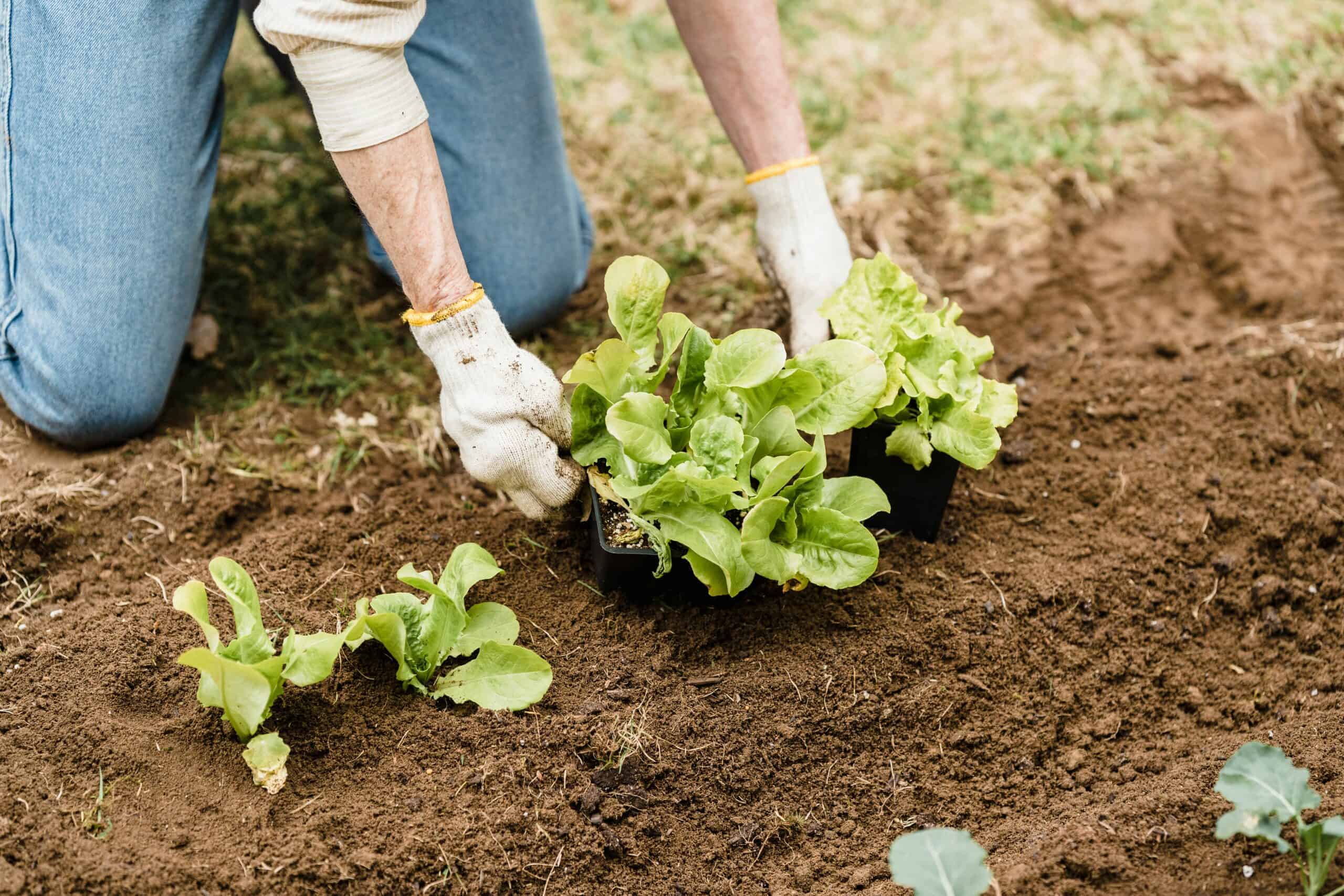 10. Encouraging More Sustainable Agriculture