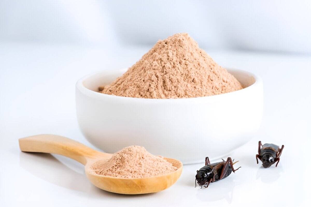 2. Cricket Flour