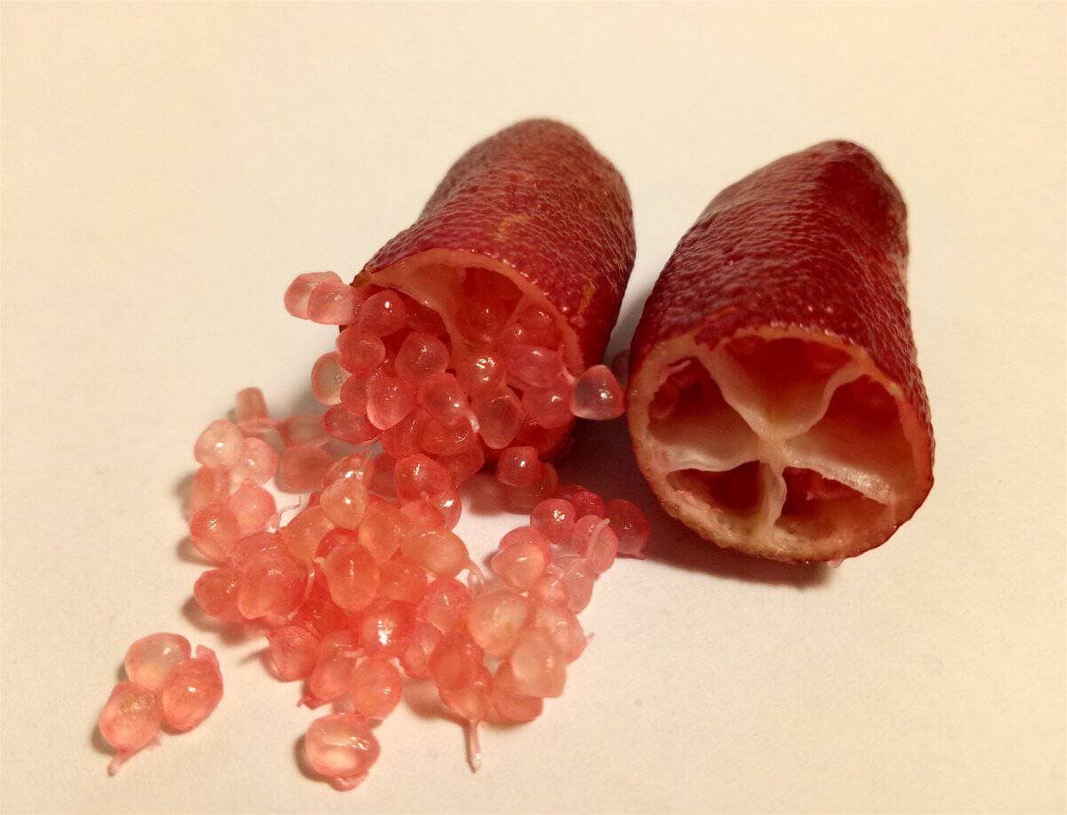 5. Finger Limes