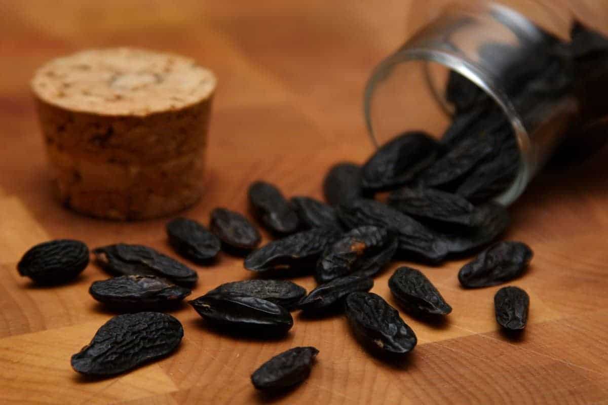 15. Tonka Beans