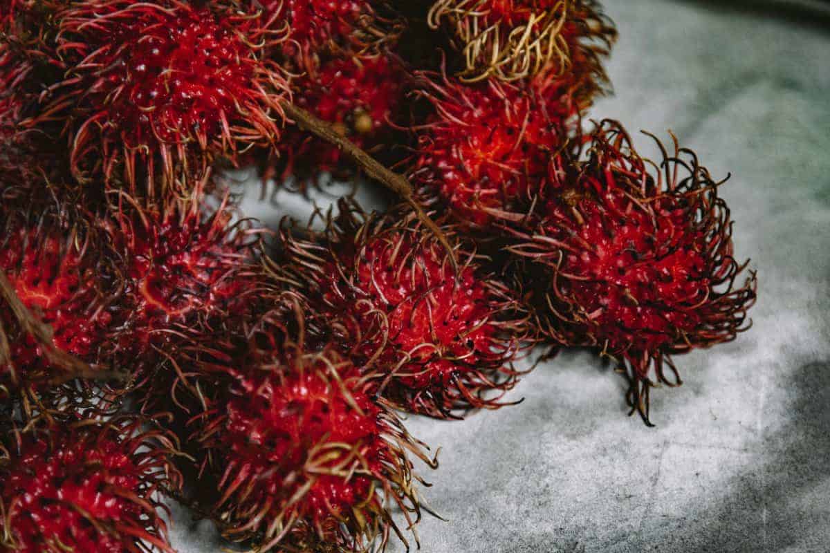 1. Rambutan