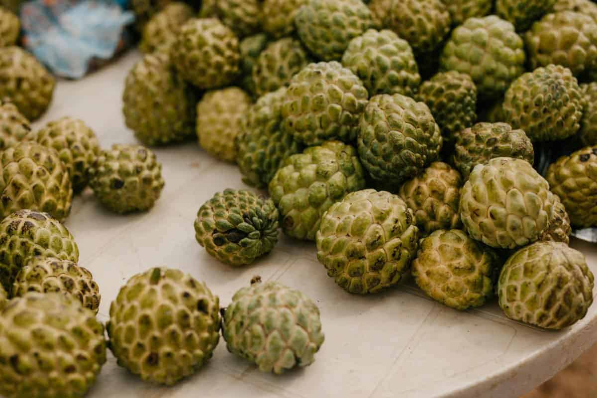 3. Cherimoya