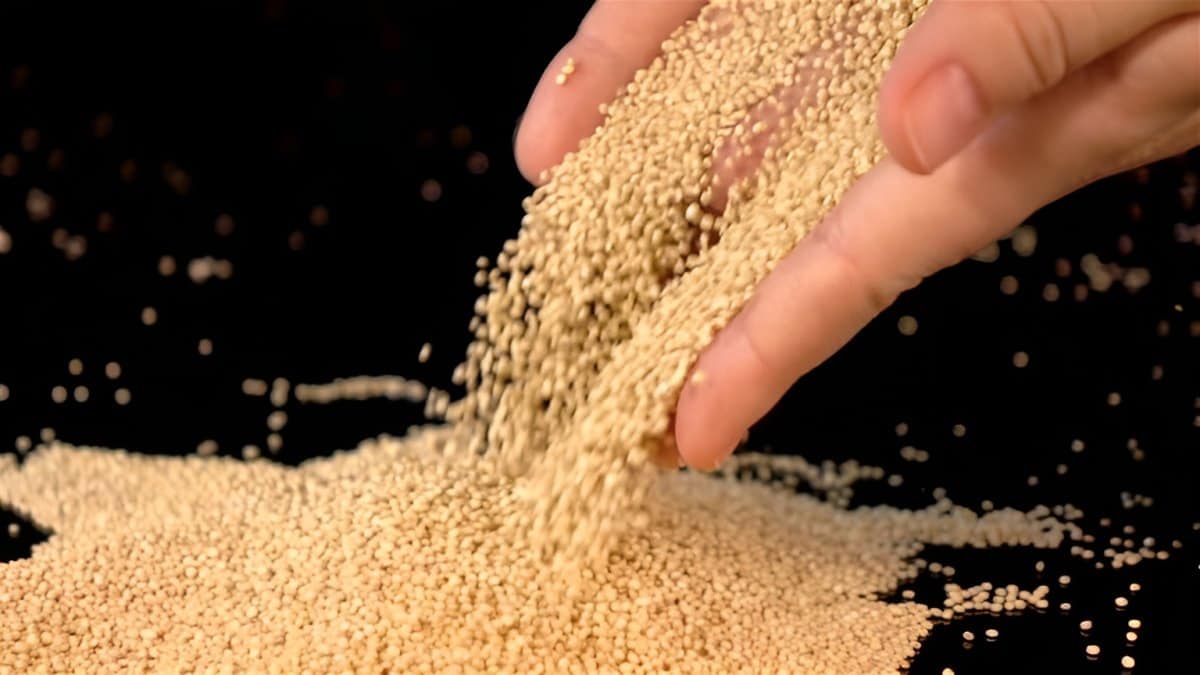 5. Quinoa