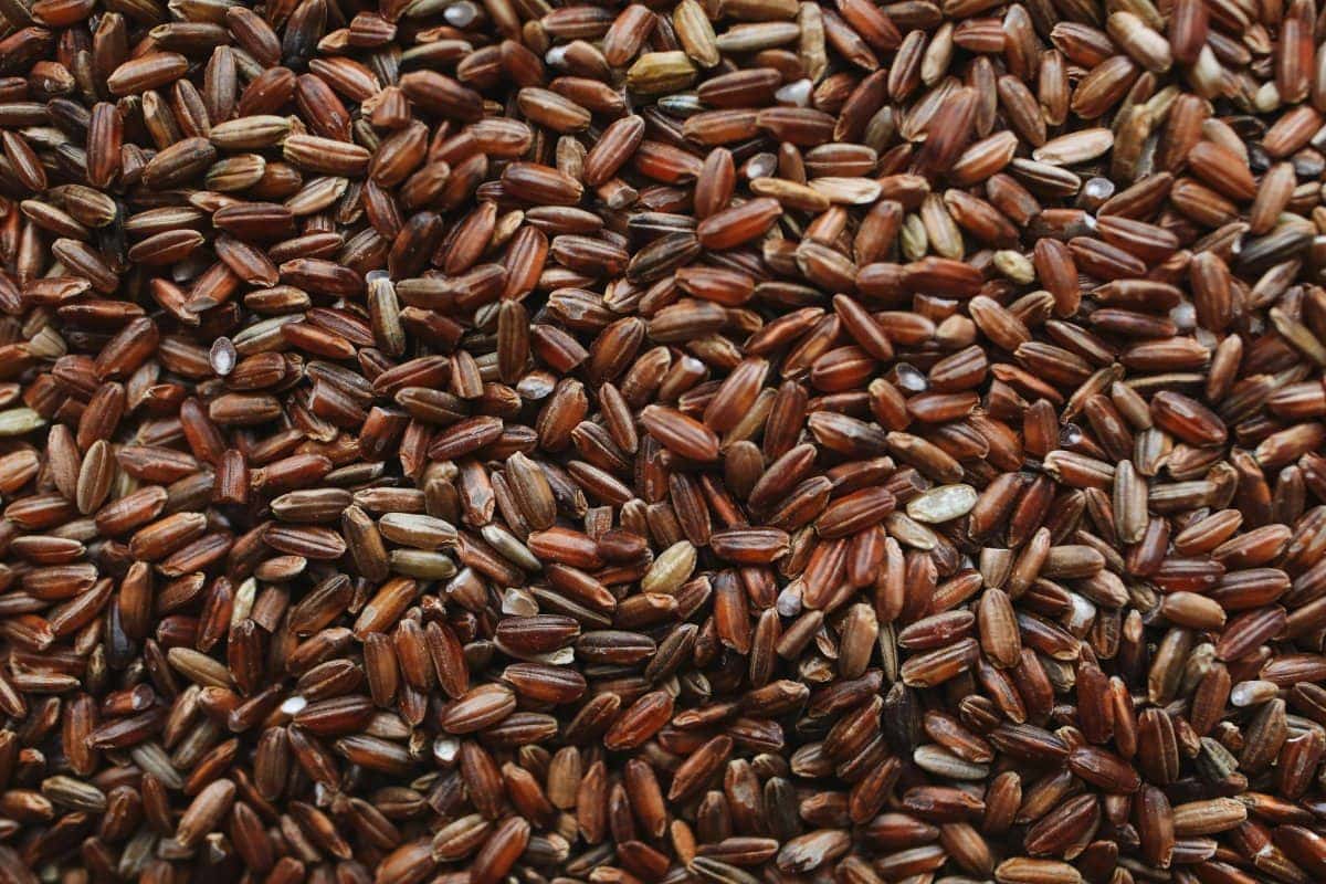 10. Brown Rice