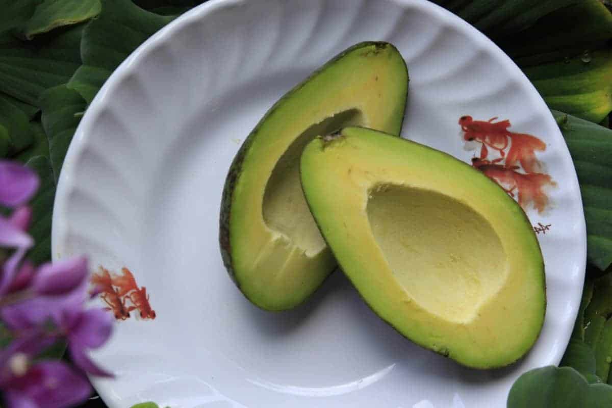 10. Avocado