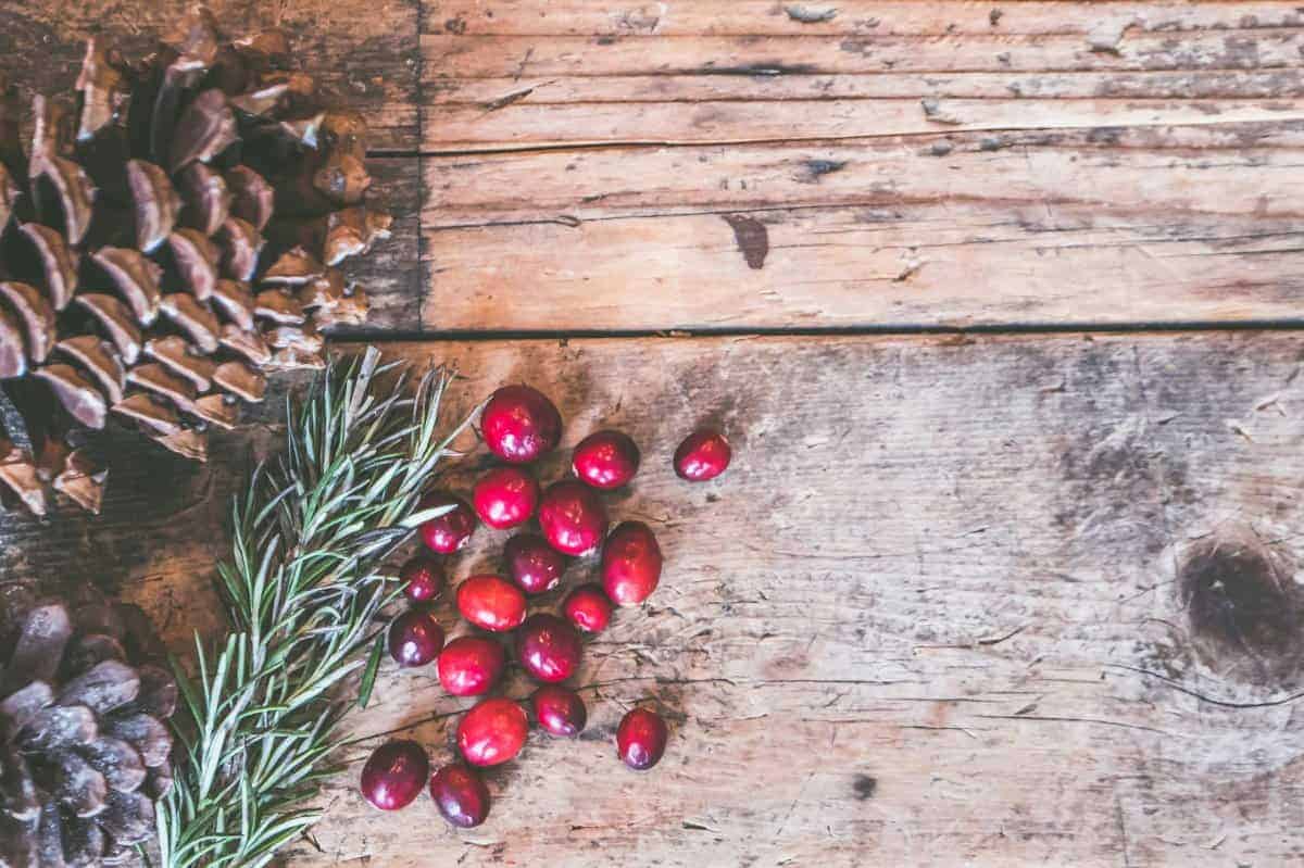 11. Cranberries (Fresh)