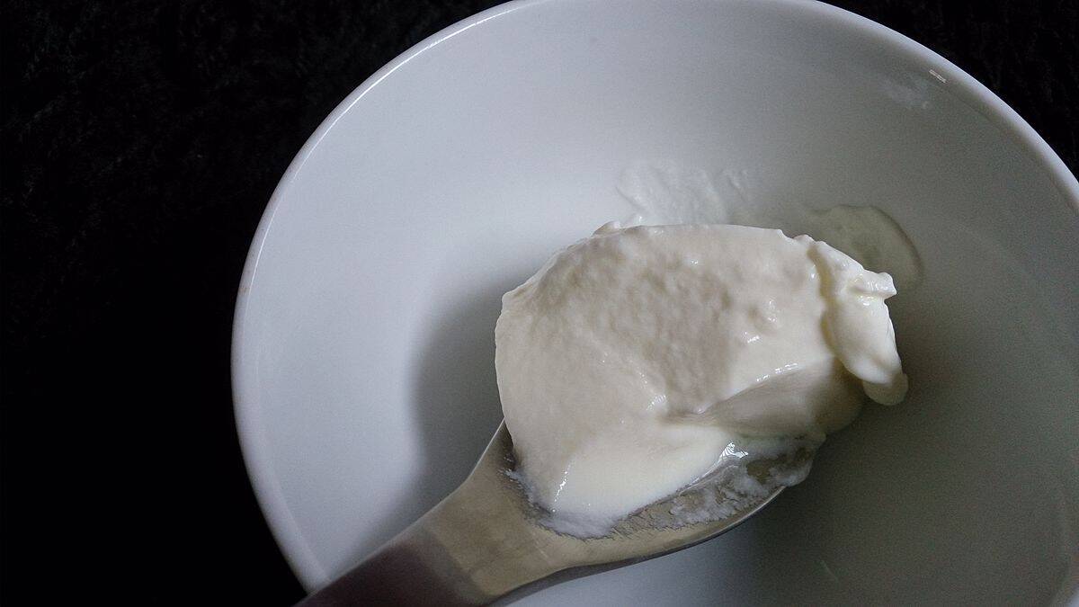 3. Greek Yogurt