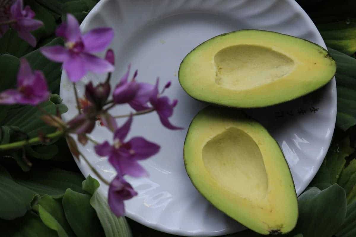 4. Avocado