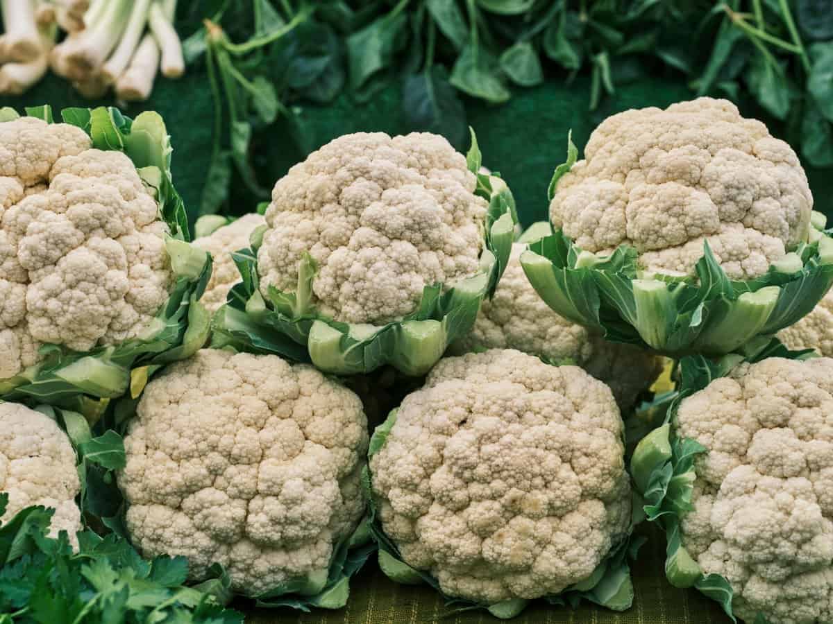 15. Cauliflower