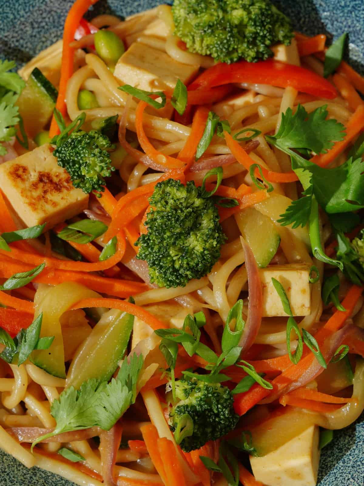 Quick Tofu and Broccoli Stir-Fry