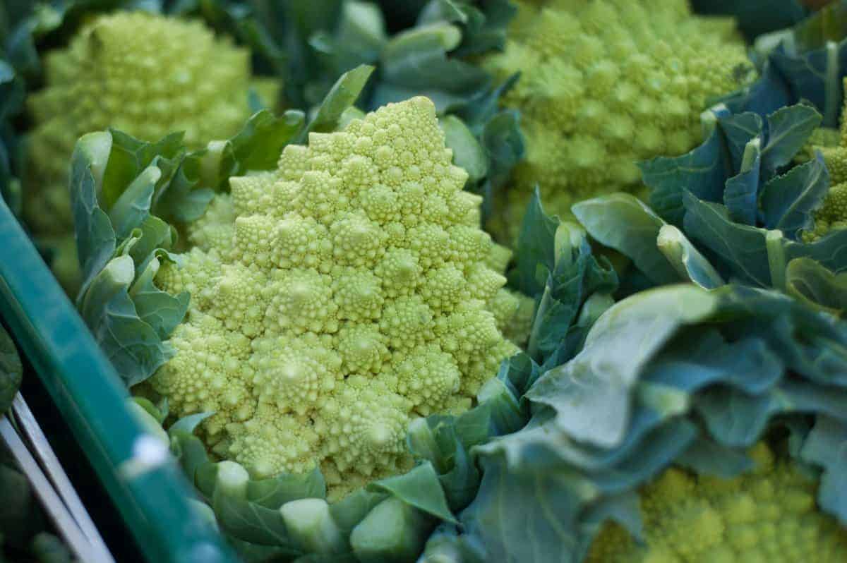 6. Romanesco