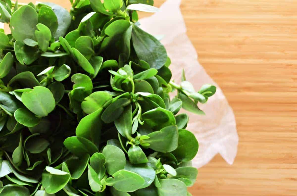 13. Purslane
