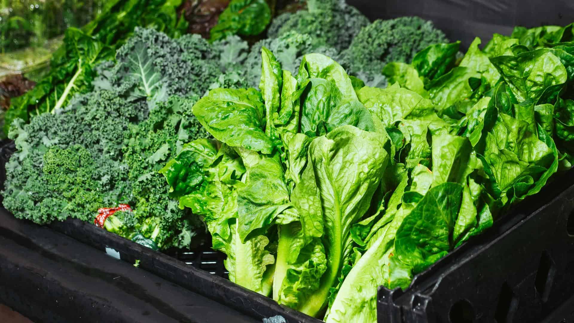 1. Lettuce