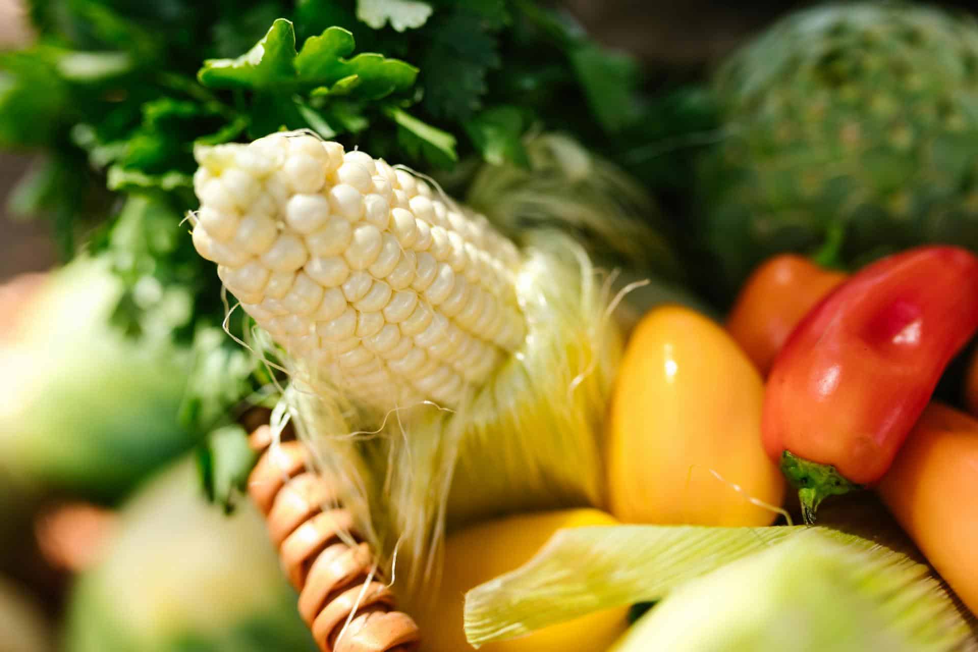 Harvesting Rewards: Bringing Homegrown Goodness to Any Space