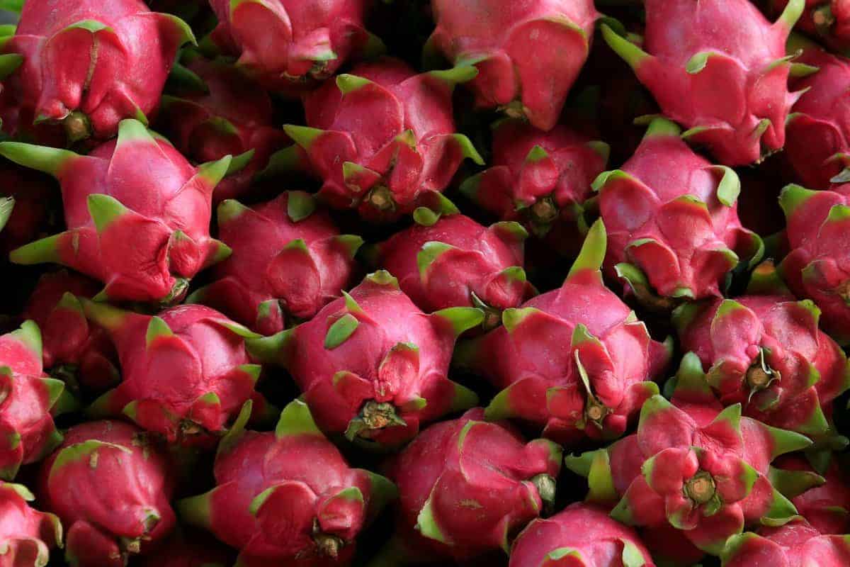 5. Dragon Fruit (Pitaya)