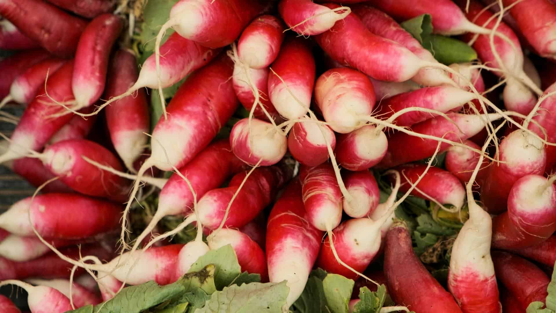 2. Radishes
