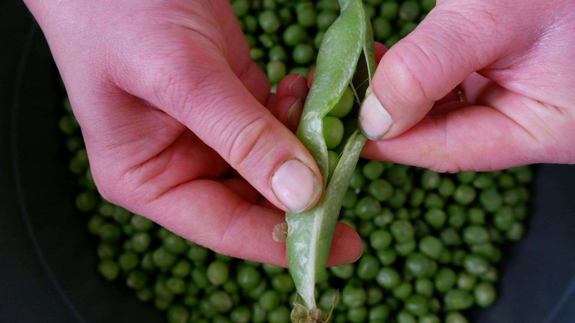 6. Peas