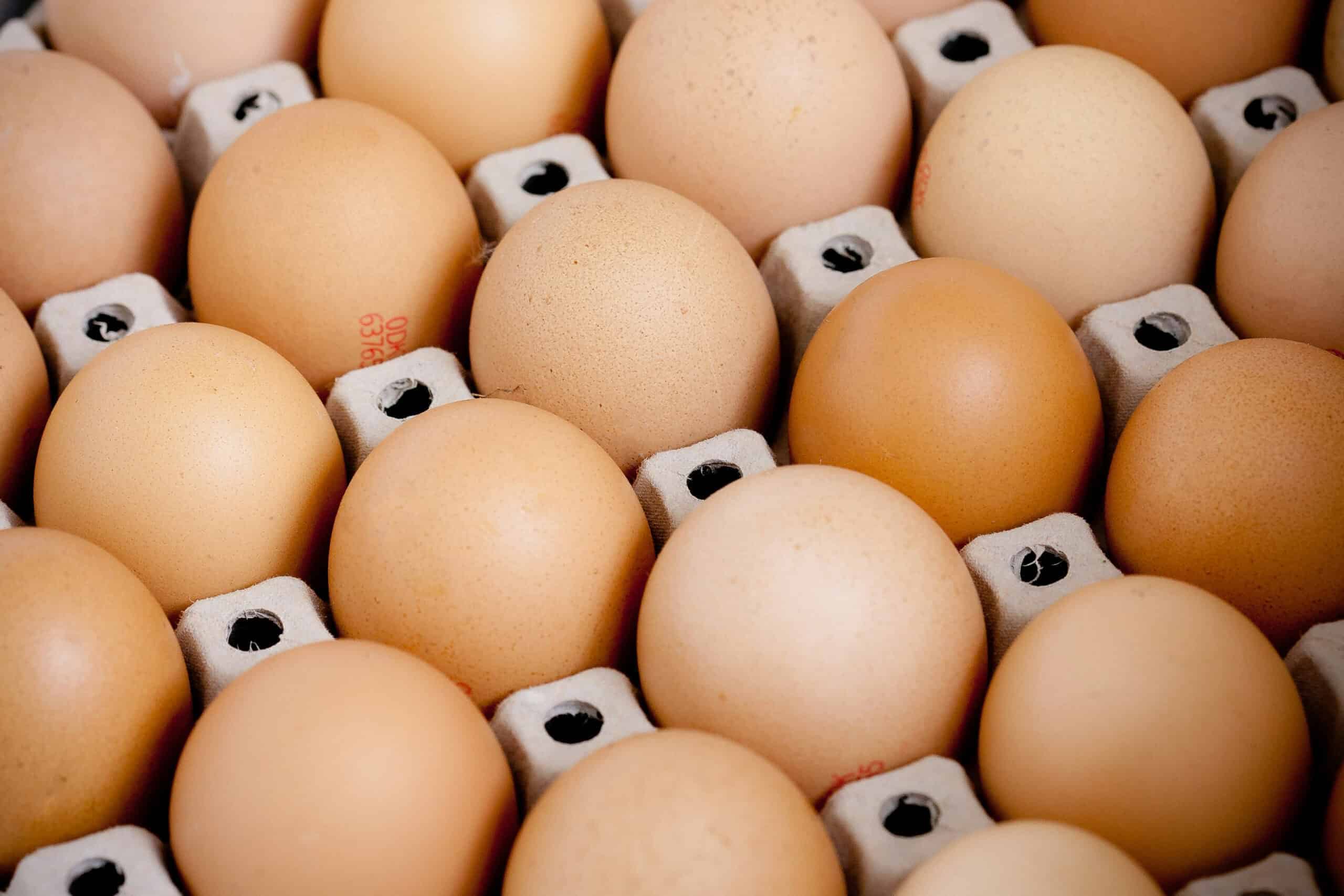 3. Eggs