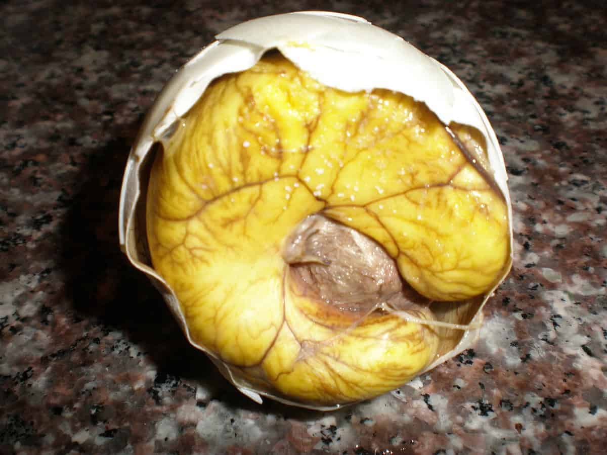 5. Balut (Fertilized Duck Egg) - Philippines