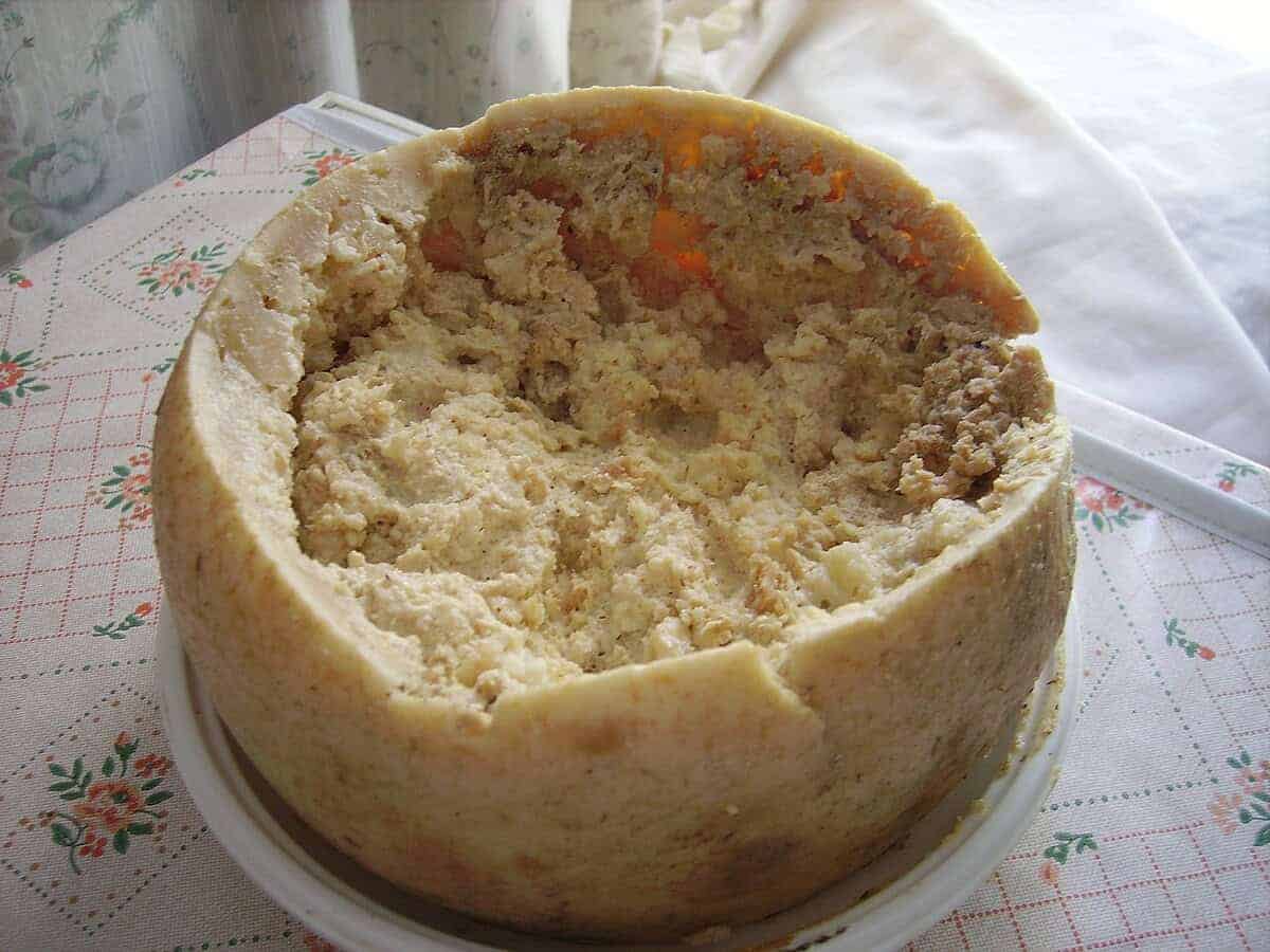 8. Casu Marzu (Maggot Cheese) - Italy