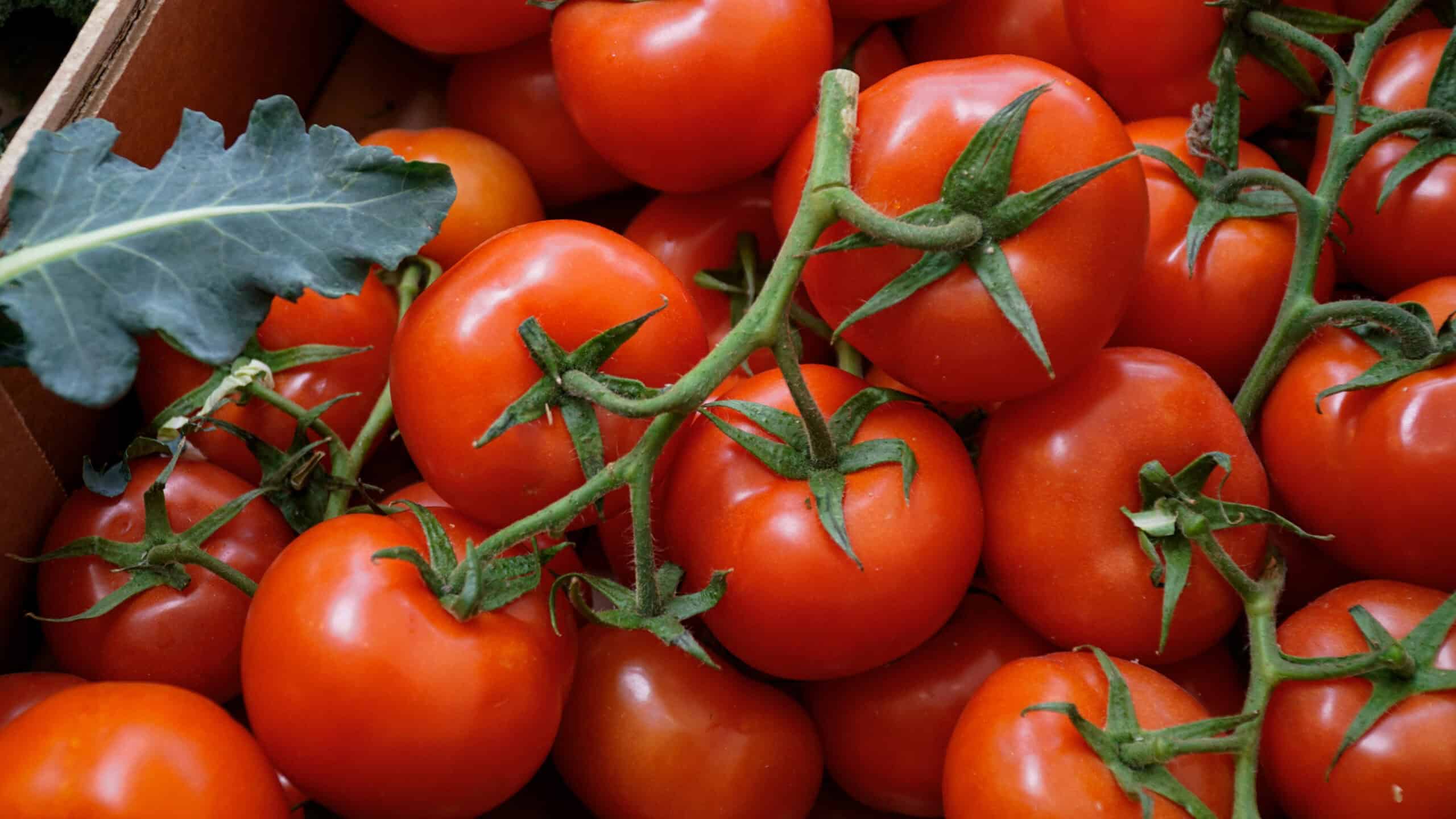 5. Tomatoes