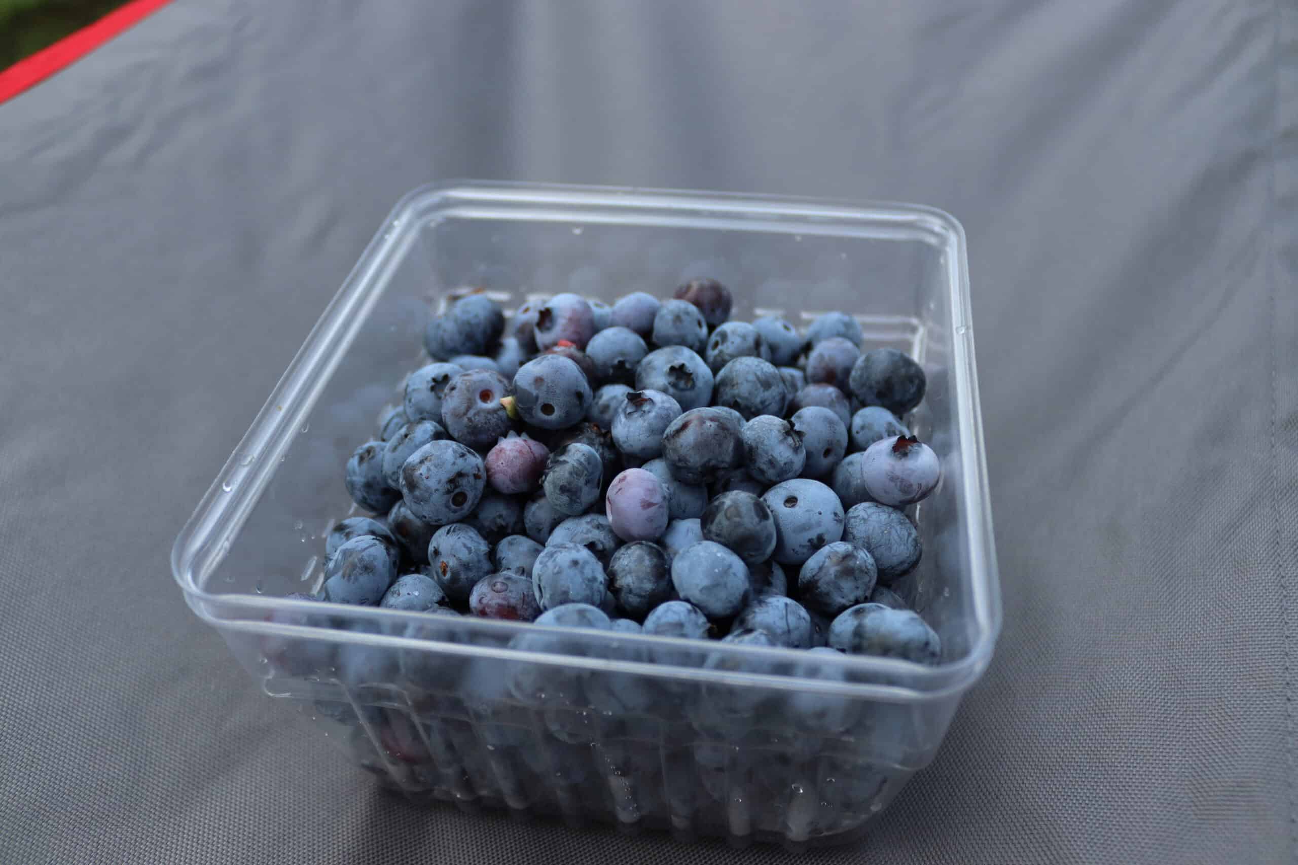 3. Blueberries
