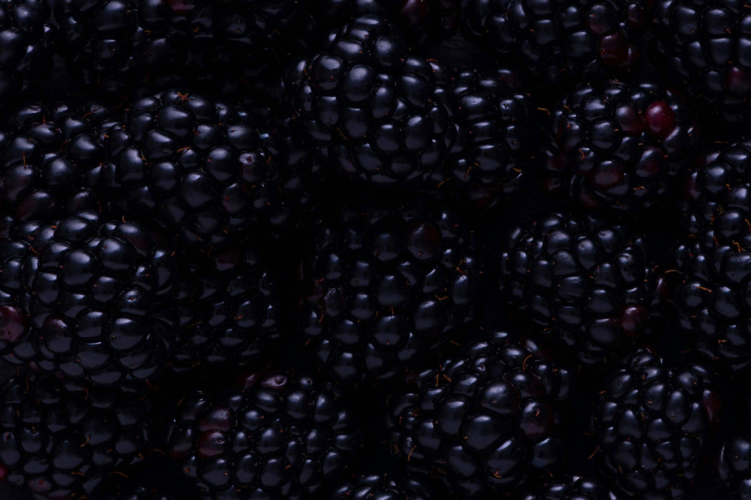 11. Blackberries