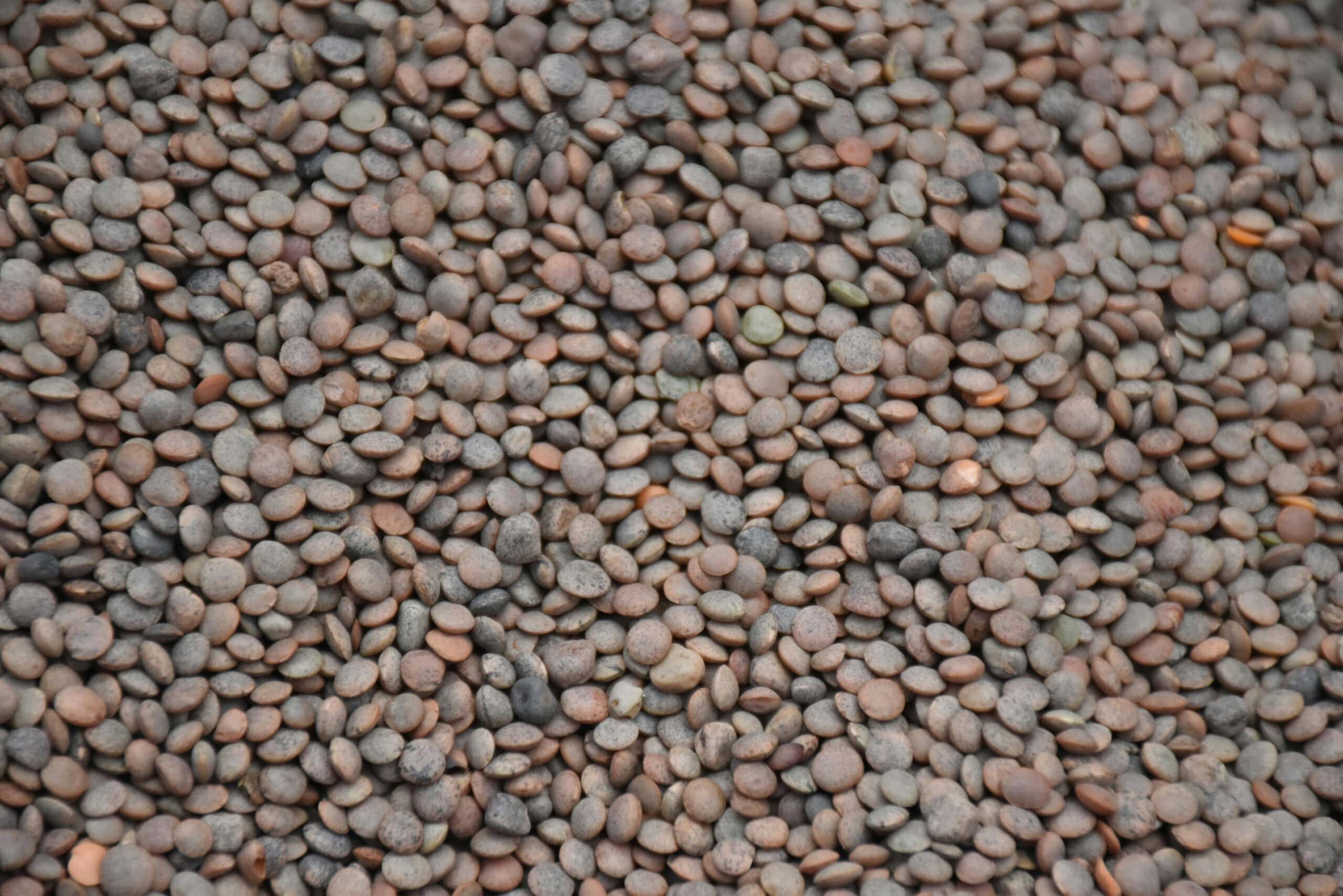 2. Dried Beans and Lentils