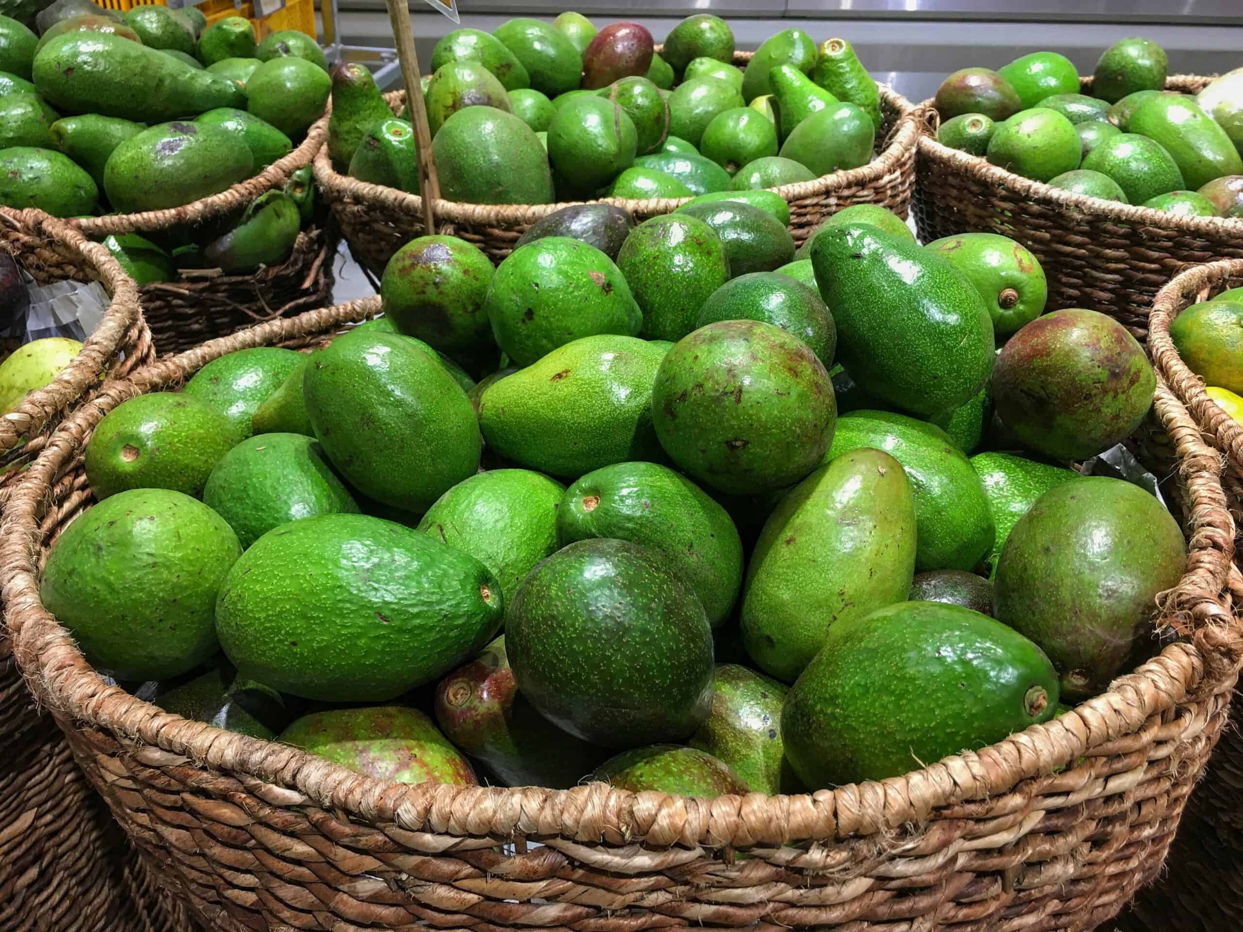 16. Avocado