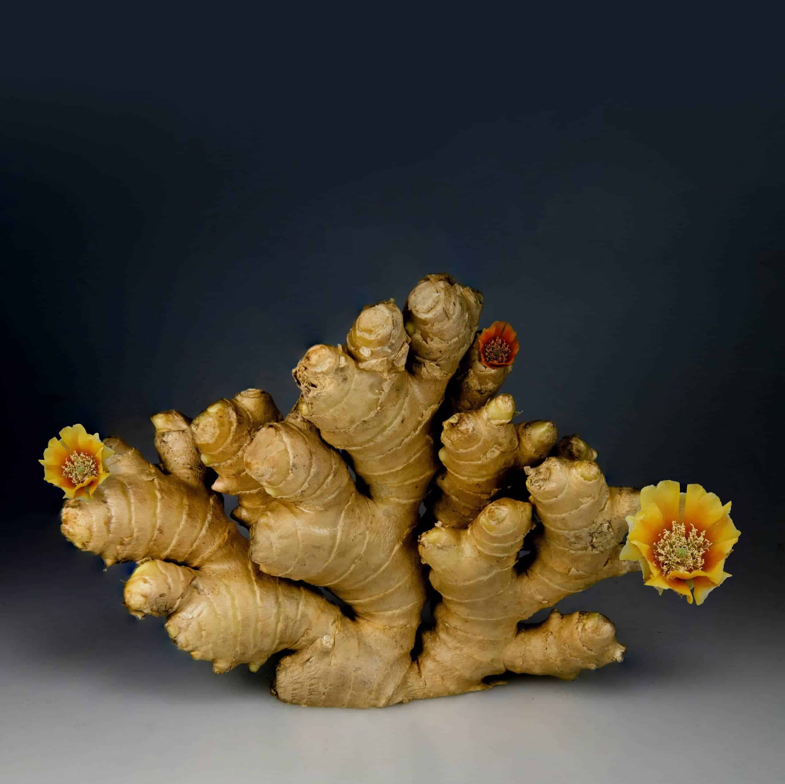 9. Ginger