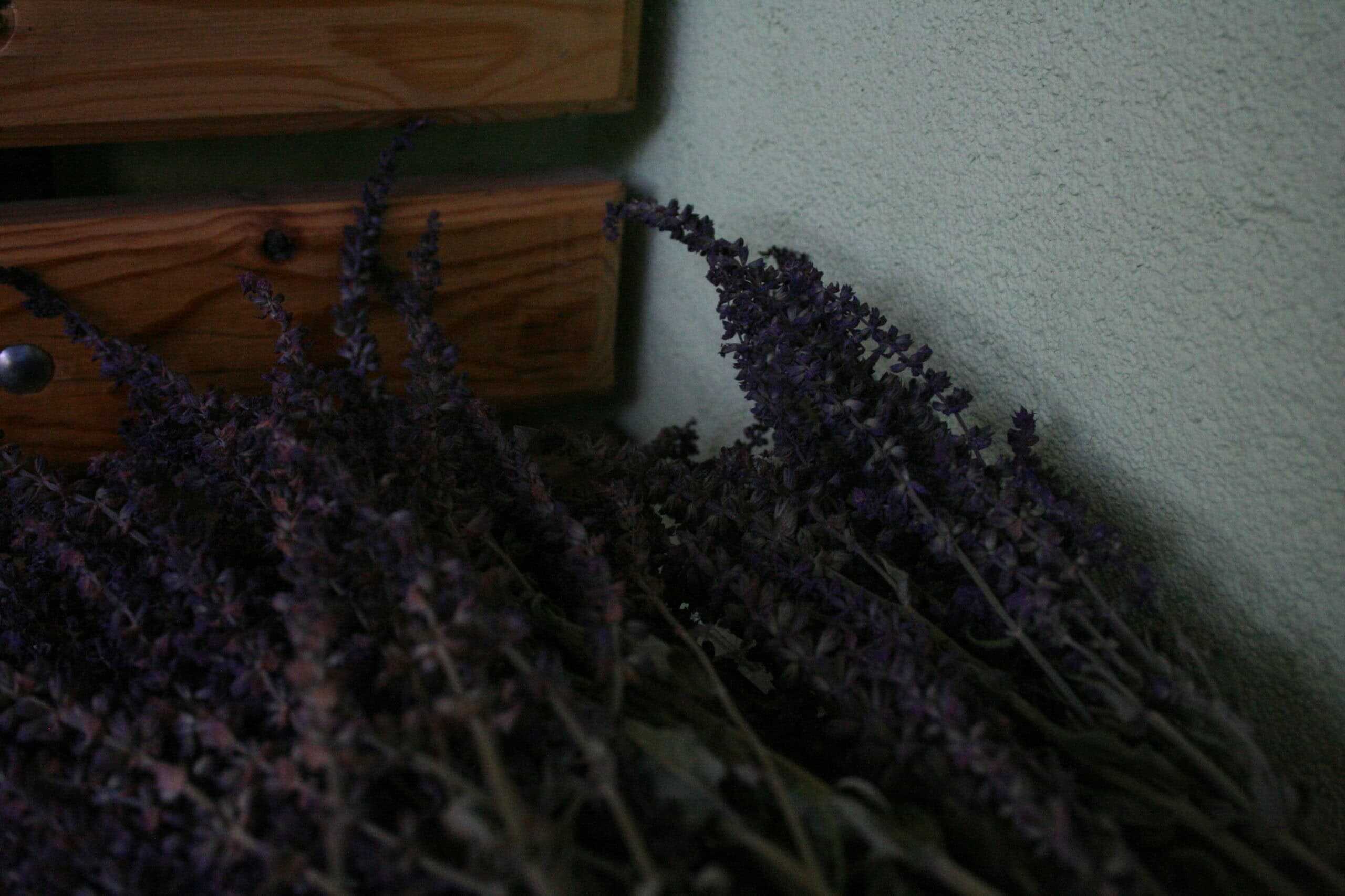 10. Lavender