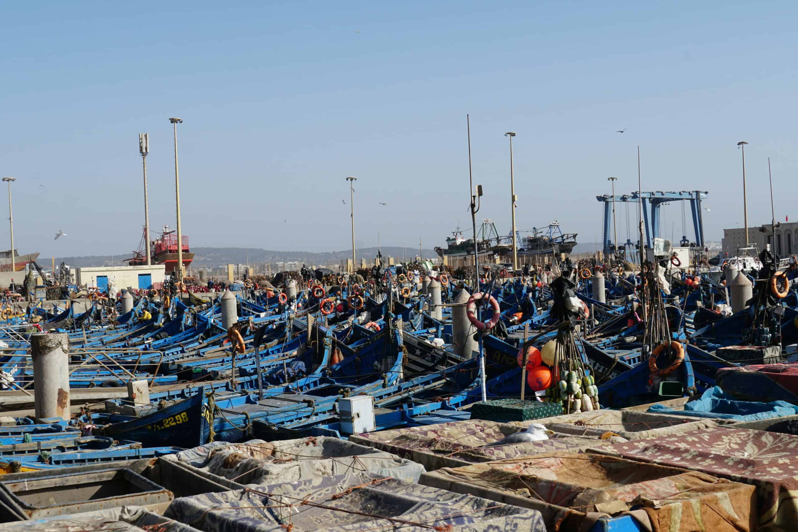 5. Seafood: Exploitation Beneath the Surface